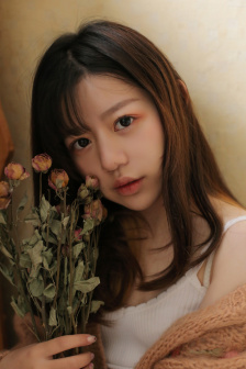 梅花儿香电视剧免费全集